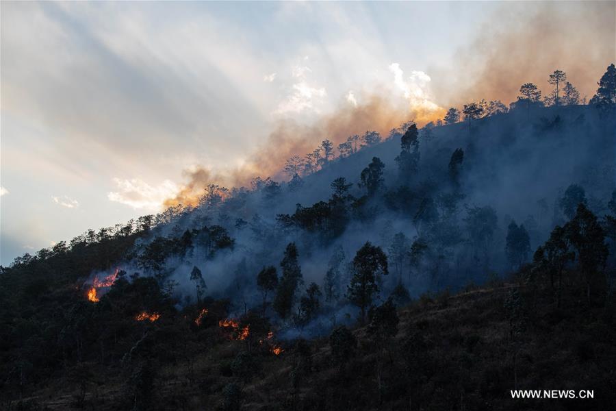 حرائق غابات جنوب غربي الصين
