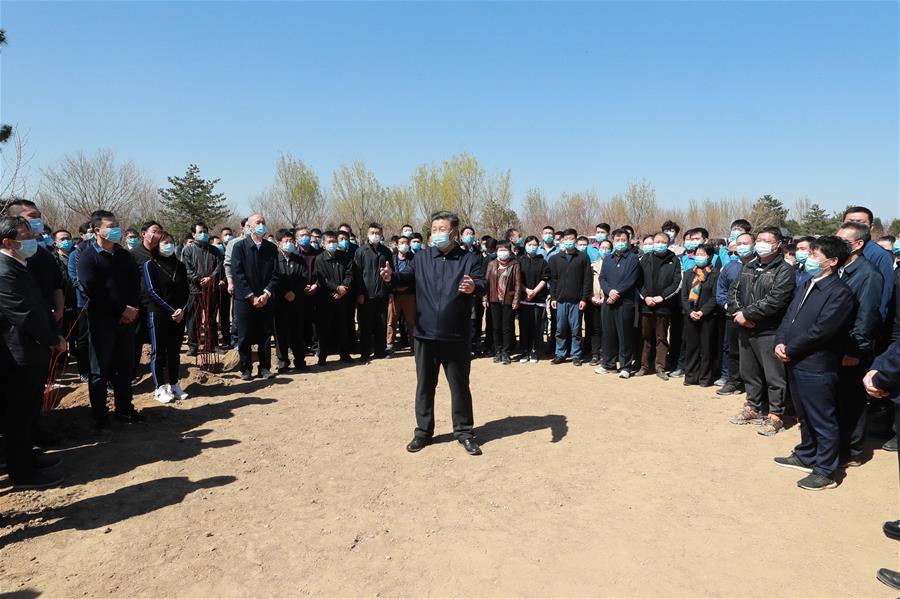 الرئيس شي يزرع أشجارا في بكين ويحث على احترام الطبيعة