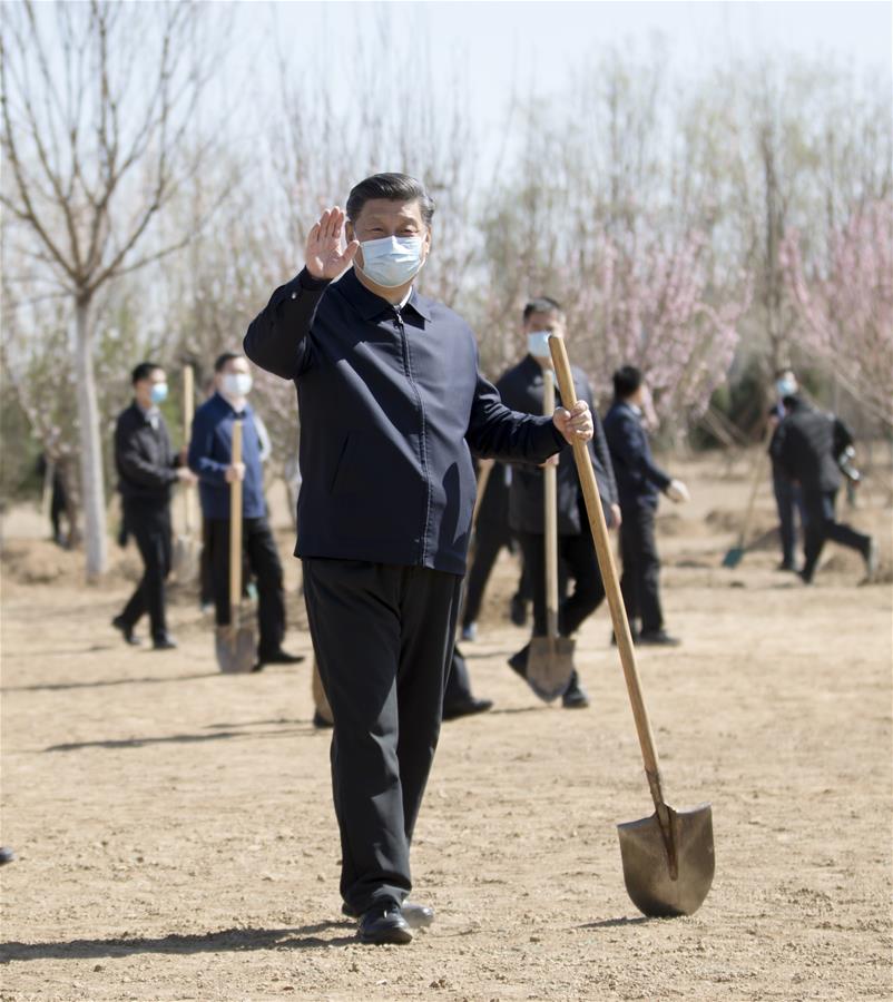 الرئيس شي يزرع أشجارا في بكين ويحث على احترام الطبيعة