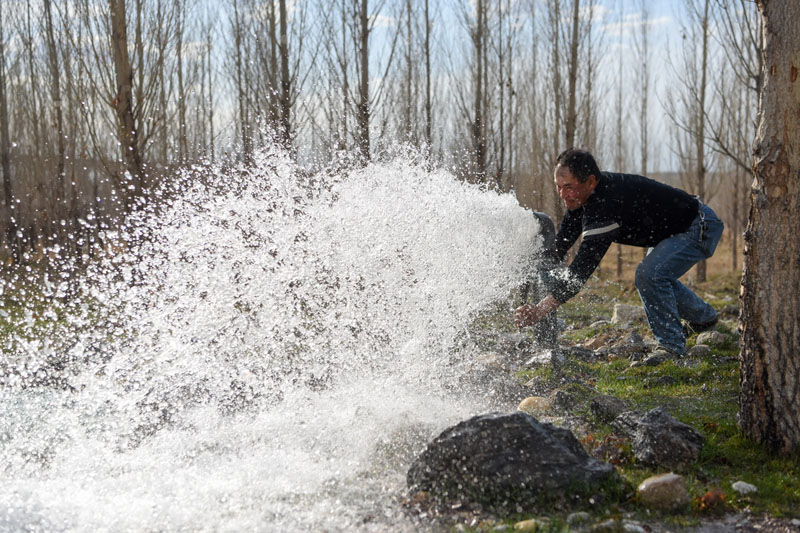 يوم الأرض العالمي: تربية الشتلات بمياه الصرف الصحي  المعالجة في الصحراء الصخرية بشينجيانغ