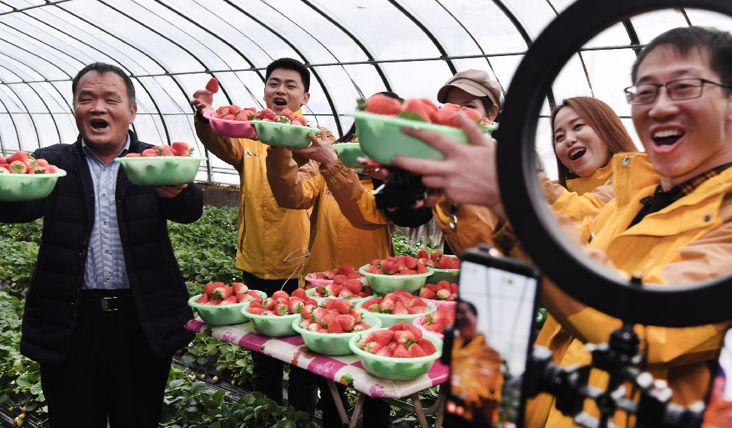 خدمات البث الحي طريقة جديدة لتسويق المنتجات الزراعية في أرياف الصين
