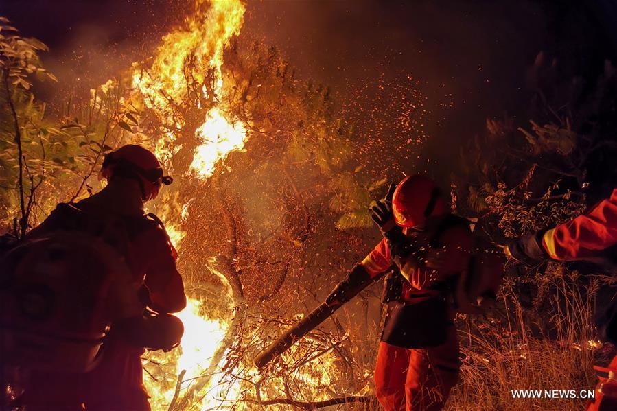أكثر من 1300 شخص يكافحون لإخماد حريق غابات في جنوب غربي الصين