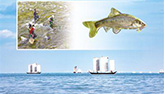  عودة الحياة الطبيعية الى بحيرة ديانتشي .... جهود الصين لتحسين البيئة الإيكولوجية
