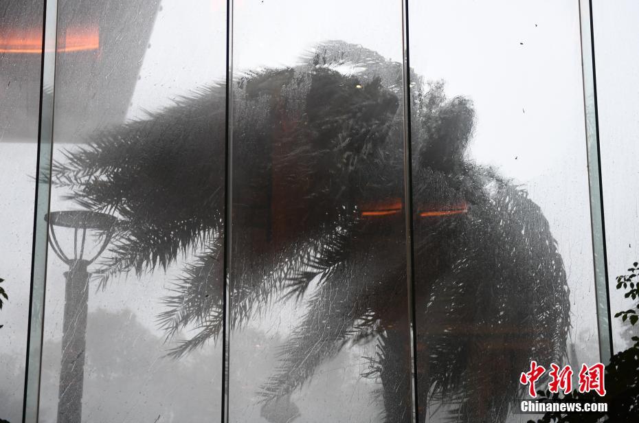 إعصار هاجوبيت يصل إلى اليابسة في مقاطعة تشجيانغ شرقي الصين