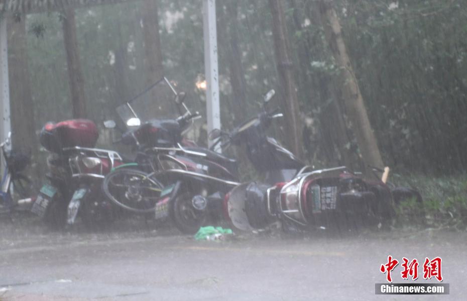 إعصار هاجوبيت يصل إلى اليابسة في مقاطعة تشجيانغ شرقي الصين