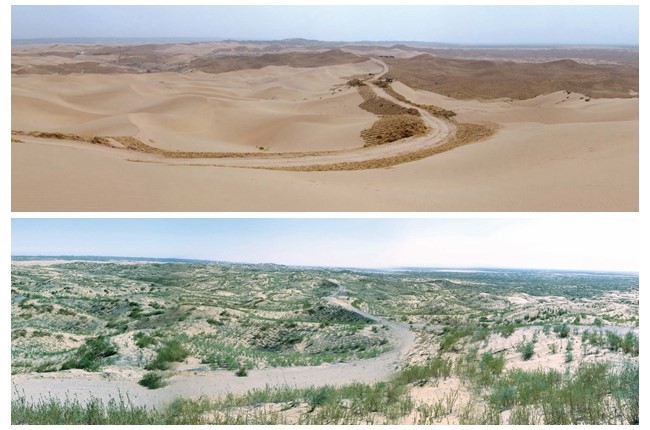 على نفس خطى منغوليا الداخلية وشنشي: نينغشيا تحول صحراء مووس إلى واحة خضراء