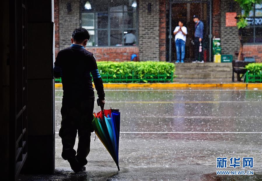 إعصار بافي يعطل المدارس والنقل في شمال شرقي الصين