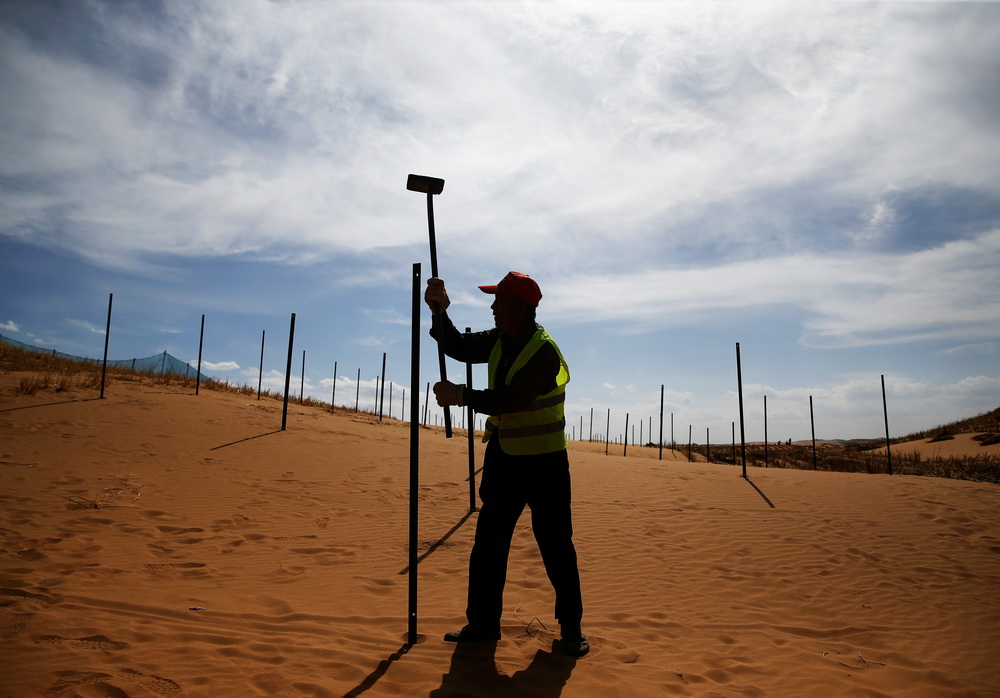 بالصور.. بناء شبكات عشبية لتثبيت الرمال على طول طريق سريع صحراوي بنينغشيا