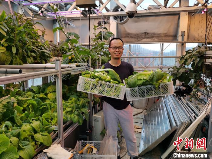 الصينيون يزرعون الخضروات في محطتها البحثية بالقطب الجنوبي