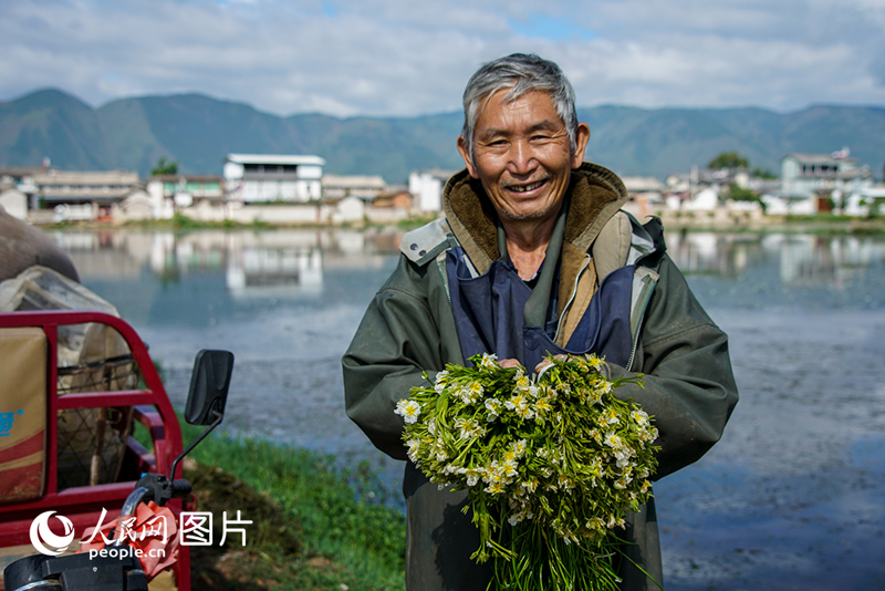 الاحتفال بعيد حصاد المزارعين الصينيين الثالث هذا العام