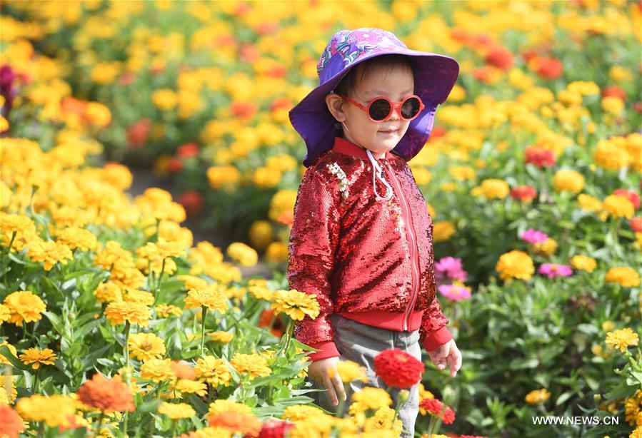 المواقع السياحية في بكين استقبلت 13.8 مليون زائر وحققت ارتفاعاً في إيراداتها خلال عطلة العيد الوطني