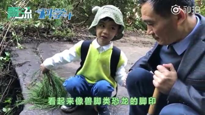 طفل صيني عمره 5 سنوات يكتشف آثار أقدام ديناصور