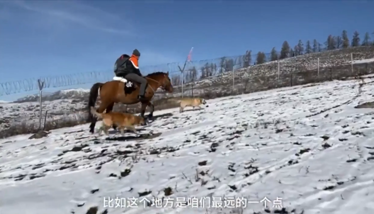 في شينجيانغ.. ساعي بريد يركب خيلا لتوصيل الطرود في الثلوج