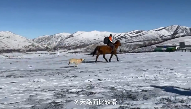 في شينجيانغ.. ساعي بريد يركب خيلا لتوصيل الطرود في الثلوج