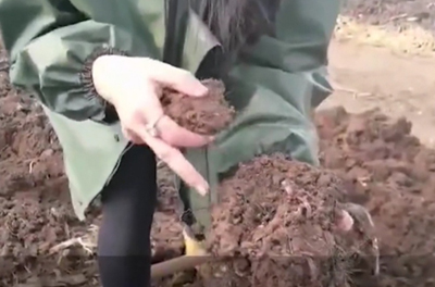 فتاة صينية تستثمر في دودة الأرض لتحويل القمامة إلى أسمدة