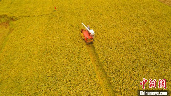 وزير الزراعة الصيني: الصين بصدد تعزيز إنتاج المحاصيل وحماية الأراضي الزراعية في عام 2021