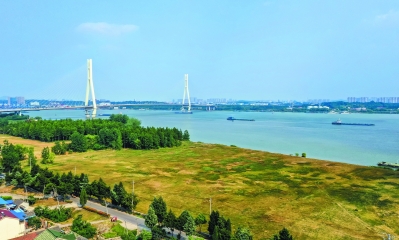 نانجينغ تحمي البيئة في نهر اليانغتسي وتعزز مكافحة التلوث