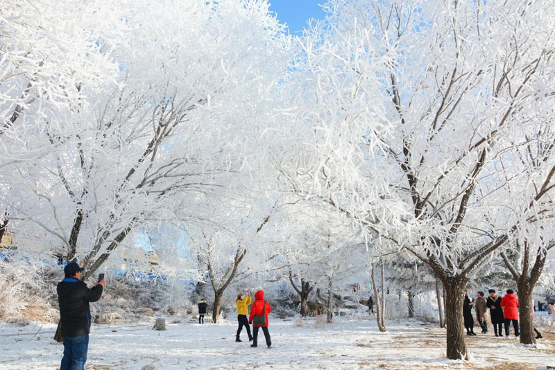 اقتصاد الجليد والثلج في الصين يشهد ازدهارا كبيرا 