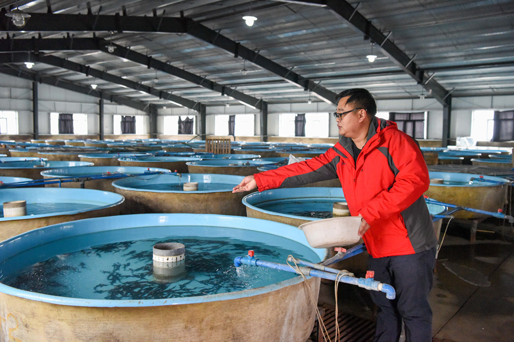 قونغليو، شينجيانغ: علامة جديدة للمنتجات المائية المميزة