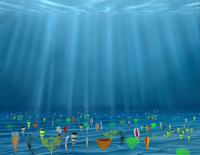 دراسة: محتوى الأكسجين في أعماق البحار ظهر قبل 600 مليون سنة