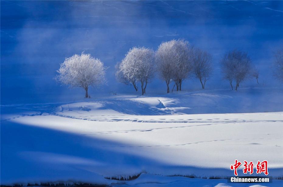 الثلوج ترسم مشاهد من القصص الخرافية في غابة غونغ نايسي بشينجيانغ
