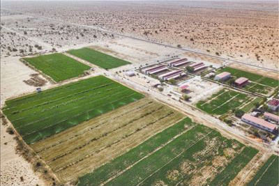 الصين تصنع المعجزات في صحراء موريتانيا
