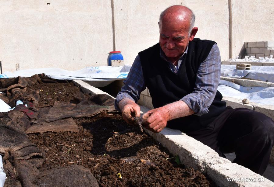 تحقيق إخباري: مزارع سوري يبدأ مشروع تسميد الأرض باستخدام الدود