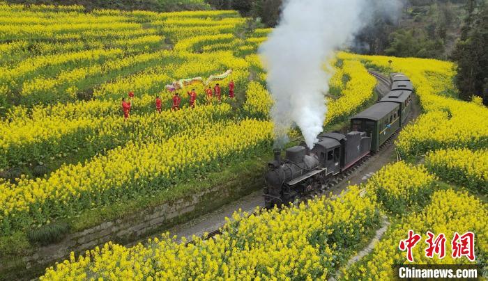 قطار الربيع يرحب بالسياح في سيتشوان