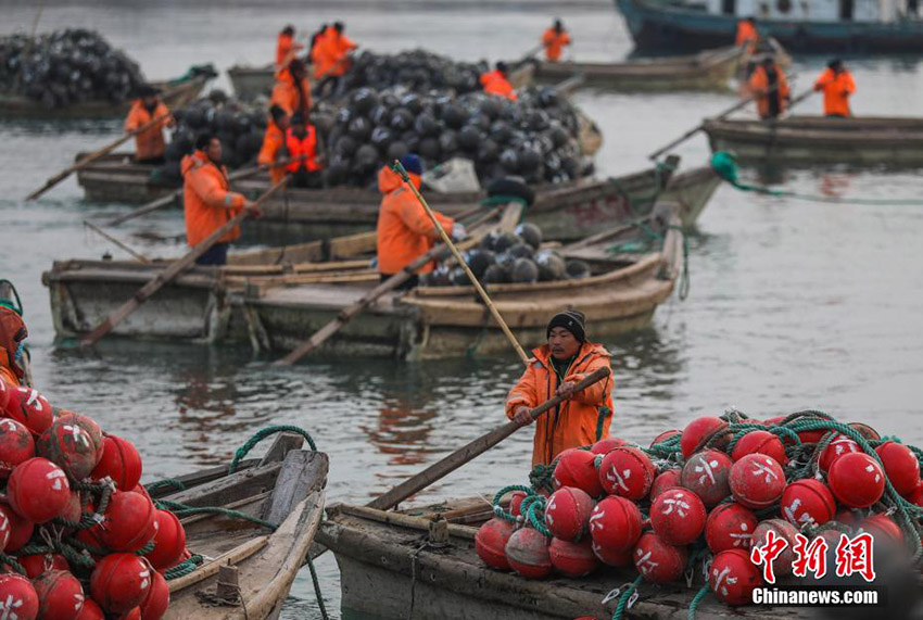 زحمة الصيادين في مدينة رونغ تشنغ