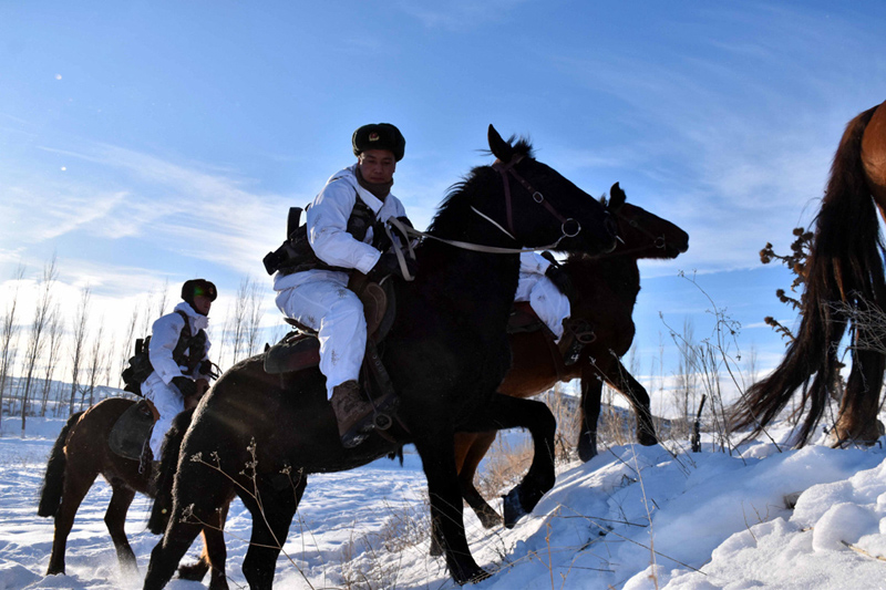 تدريب  الخيول العسكرية في شينجيانغ