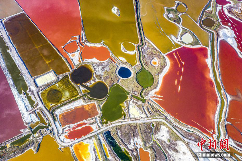 يونتشنغ ، شانشي: بحيرة مالحة تتحول الى فسيفساء متعددة الألوان متأثرة مع ارتفاع درجة الحرارة