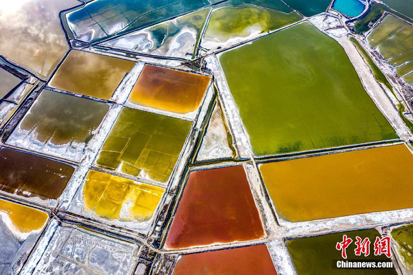 يونتشنغ ، شانشي: بحيرة مالحة تتحول الى فسيفساء متعددة الألوان متأثرة مع ارتفاع درجة الحرارة