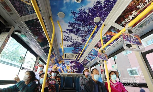 كونمينغ: حافلات بموضوع زهرة جاكاراندا تنشر البهجة في موسم الازهار