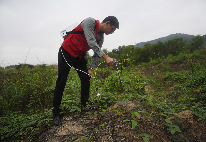 مقاطعة قوانغدونغ تبدأ حربها على نمل النار الأحمر
