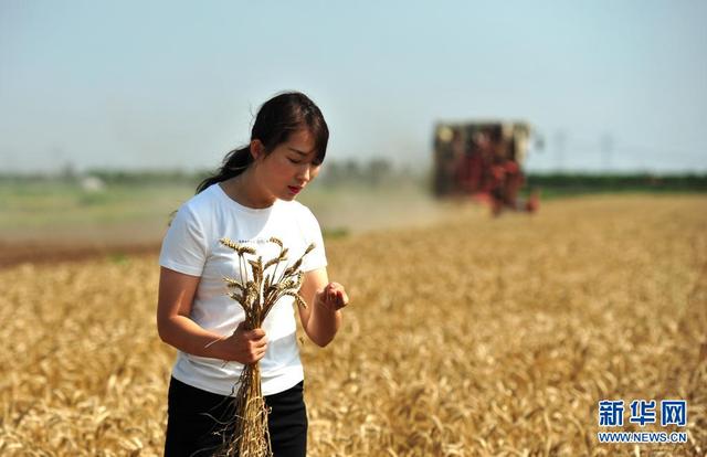 خريجة جامعية صينية تجرب طريق الزراعة الذكية لريادة الأعمال