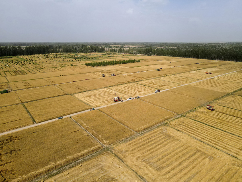 نظام بيدو للملاحة يعزز وتيرة الميكنة في حصاد المحاصيل بشينجيانغ