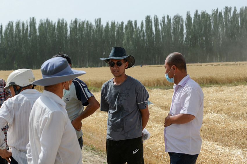 نظام بيدو للملاحة يعزز وتيرة الميكنة في حصاد المحاصيل بشينجيانغ