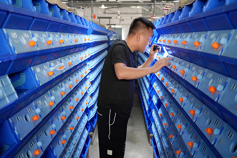 تربية السرطانات الزرقاء داخل الصناديق في مقاطعة تشجيانغ