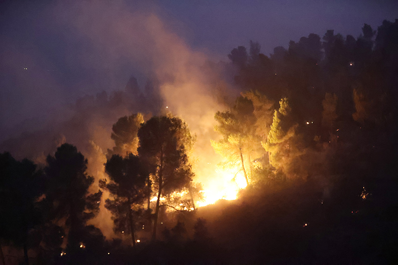 الحرائق تلتهم 25 ألف دونم في جبال القدس