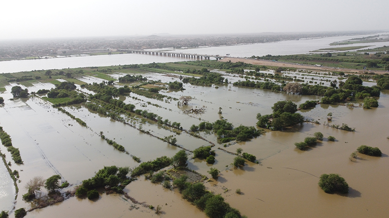 السلطات السودانية تعلن مقتل 43 شخصا بسبب السيول والفيضانات