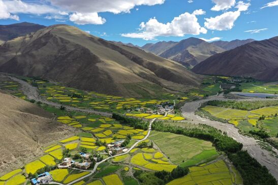 تقرير: حماية البيئة الإيكولوجية في هضبة التبت