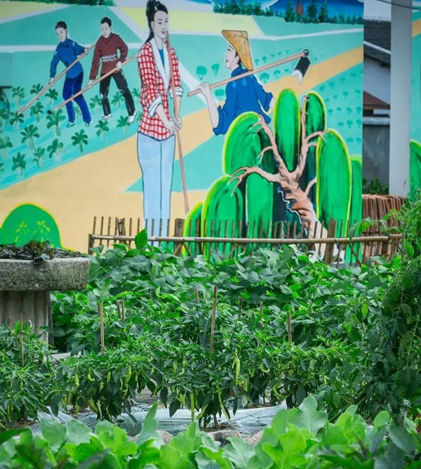 نافذة خاصة لاستكشاف المجتمع رغيد الحياة في الأرياف الصينية(15): قرية يوي دونغ الصينية، نصف سكانها يمارسون هواية الرسم