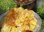 جني العسل في أعماق جبال سيتشوان
