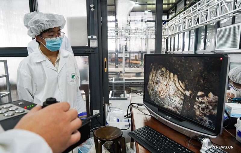 اكتشاف أكثر من 500 قطعة أثرية في موقع أطلال سانشينغدوي بالصين