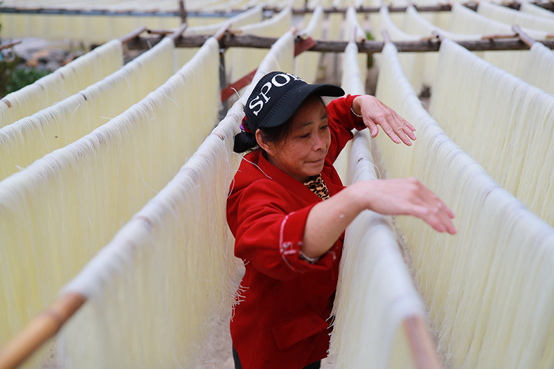 قوانيانغ، قوانغشي: معكرونة بدقيق الارز تساهم في تحقيق رفاهية وجودة الحياة للمزارعين