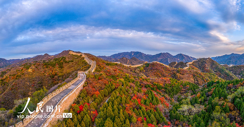بكين: ألوان الخريف تكسو سور الصين العظيم بادالينغ