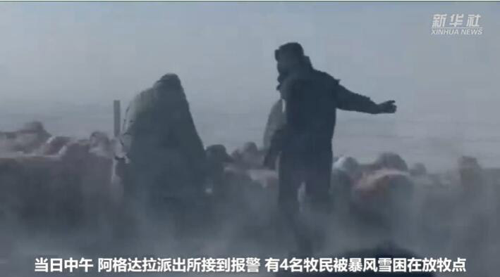 شرطة شينجيانغ تنقذ 4 رعاة وقطيع بـ 800 رأس غنم من عاصفة ثلجية 