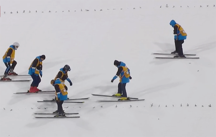 معلومات عن الألعاب الأولمبية الشتوية(21): لماذا تستعمل أغصان الصنوبر في ملاعب التزلج؟