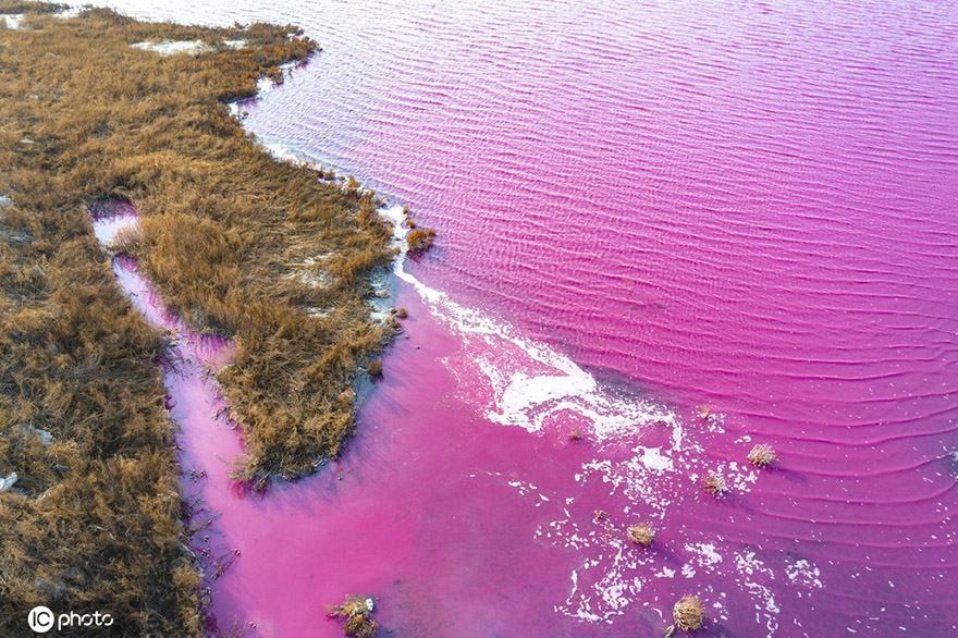 يونتشنغ، شانشي: بحيرة الملح باللون الأحمر كما لو كانت لوحة مرسومة بفرشاة ملونة 