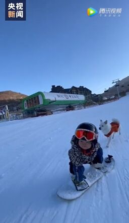 الكشف عن المتزلجة الطفلة مع كلبها اللذان ظهرا في الفيديو المعروض أثناء حفل افتتاح أولمبياد بكين الشتوي